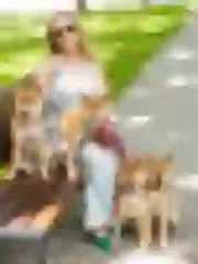 Dogsmith kennel. Shiba Inu puppies